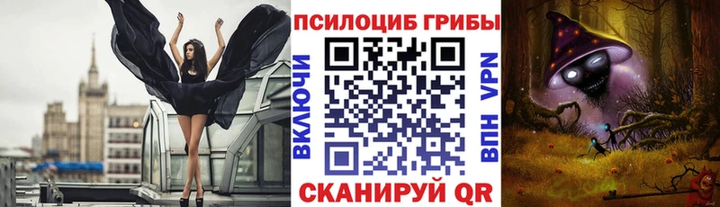 Галлюциногенные грибы Psilocybe  Купить  Кашин 
