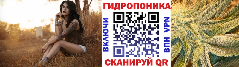 Купить  Кашин  Каннабис конопля 